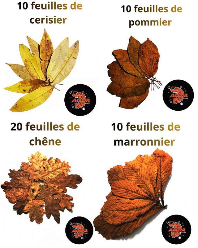 Lot feuilles pour aquarium