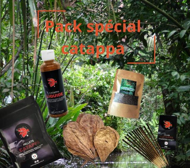 Pack spécial catappa aquarium