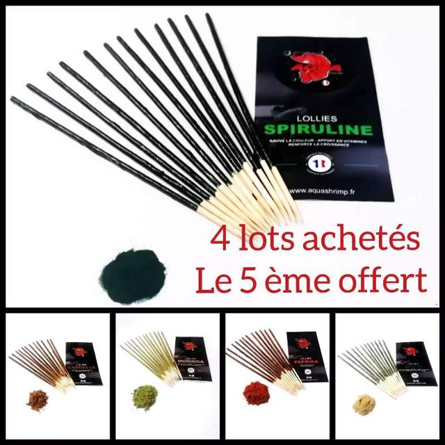 Lollies pour crevettes aquarium
