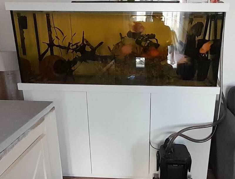 Aquarium 600l