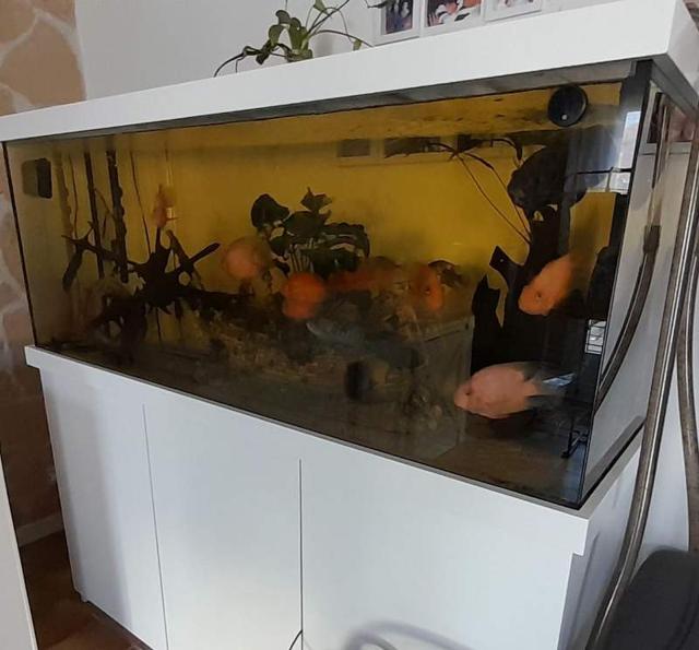Aquarium 600l