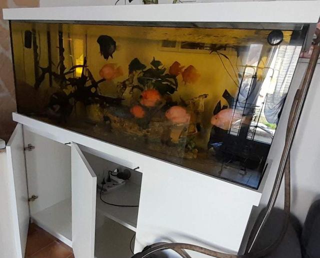 Aquarium 600l