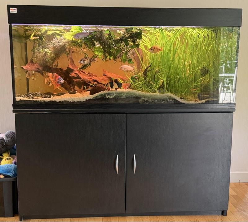 AQUARIUM 325l en eau avec meuble