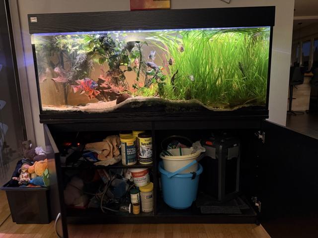 AQUARIUM 325l en eau avec meuble