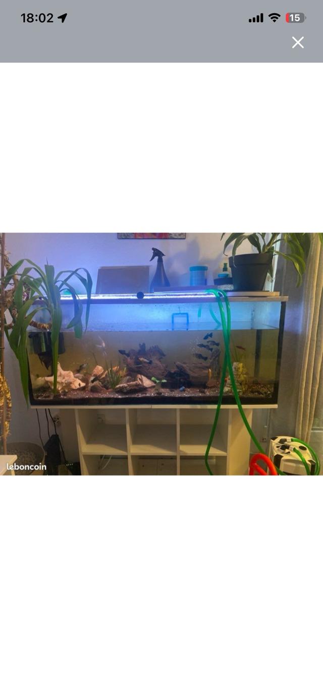 Aquarium complet