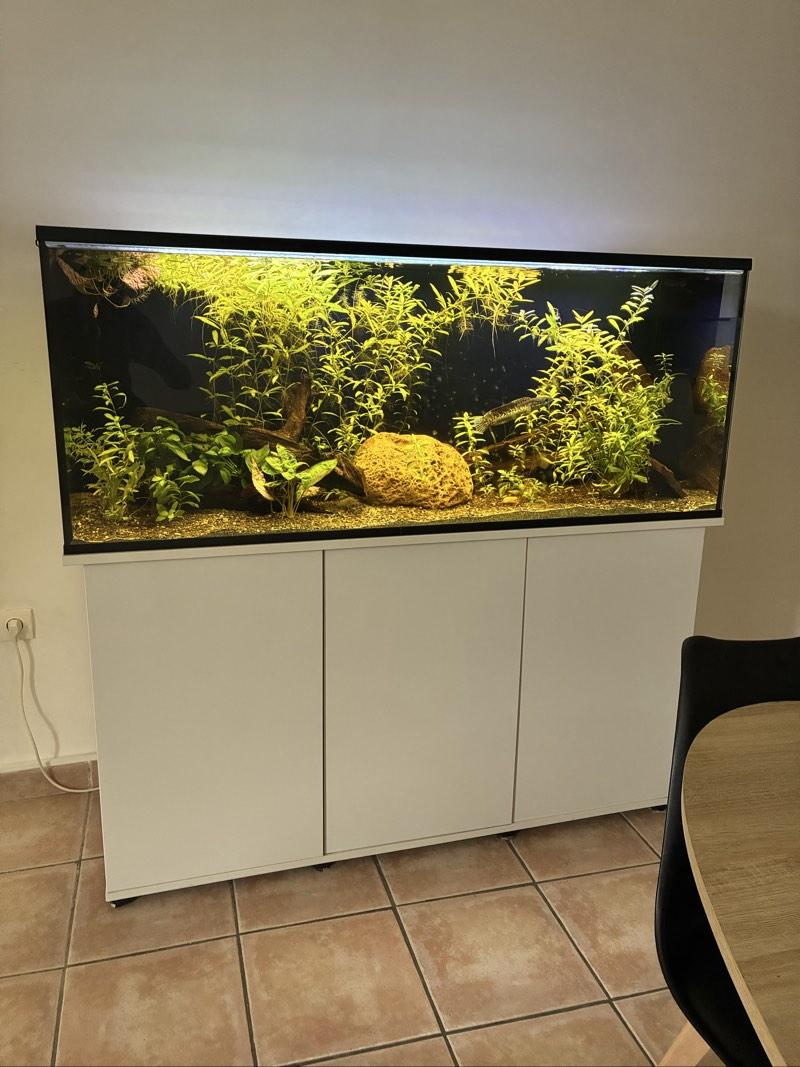 AQUARIUM 450