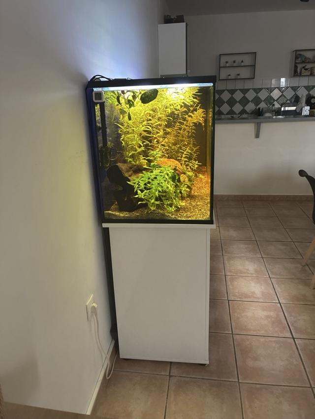 AQUARIUM 450