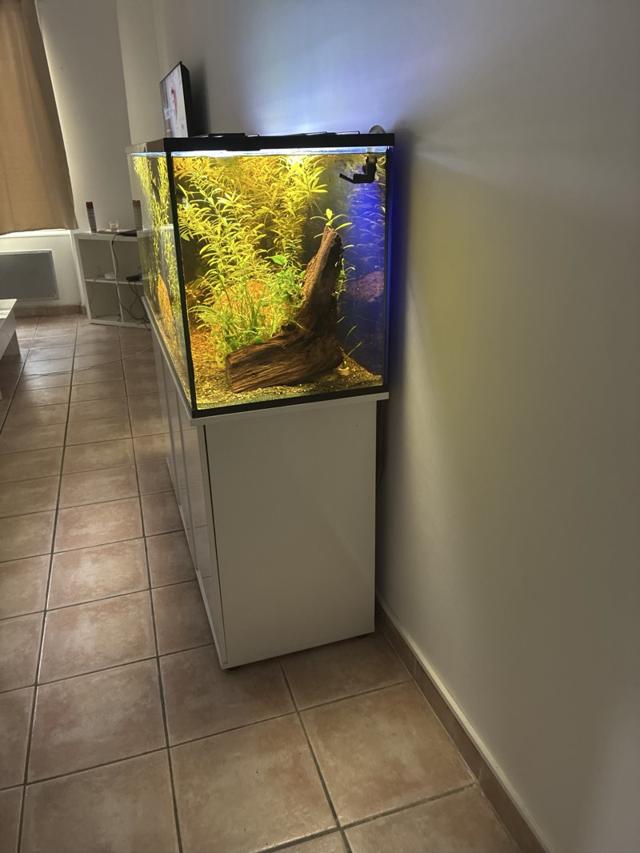 AQUARIUM 450