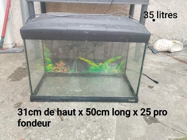 Aquarium 35l cayman