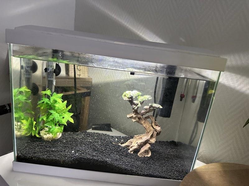 Aquarium complet