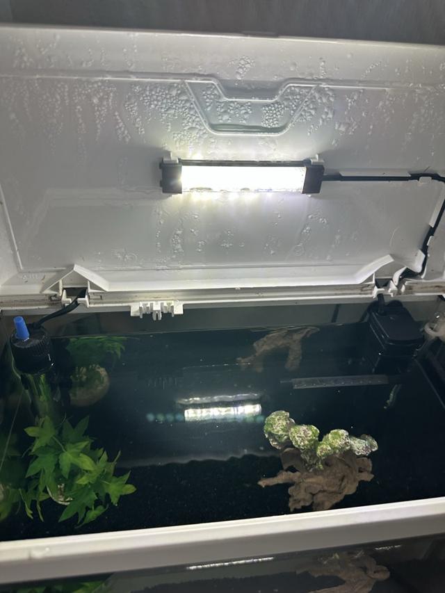 Aquarium complet