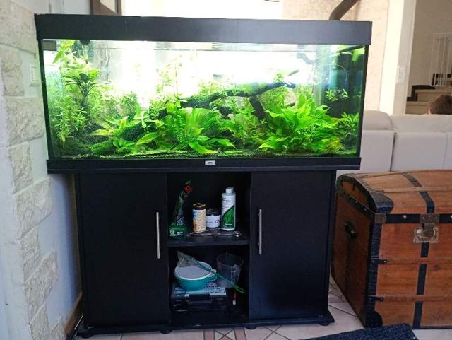 Aquarium juwel rio complet