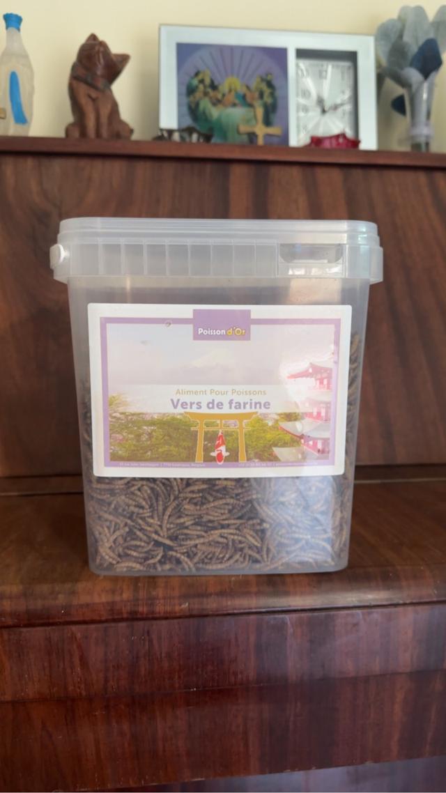 Pot de vers de farine