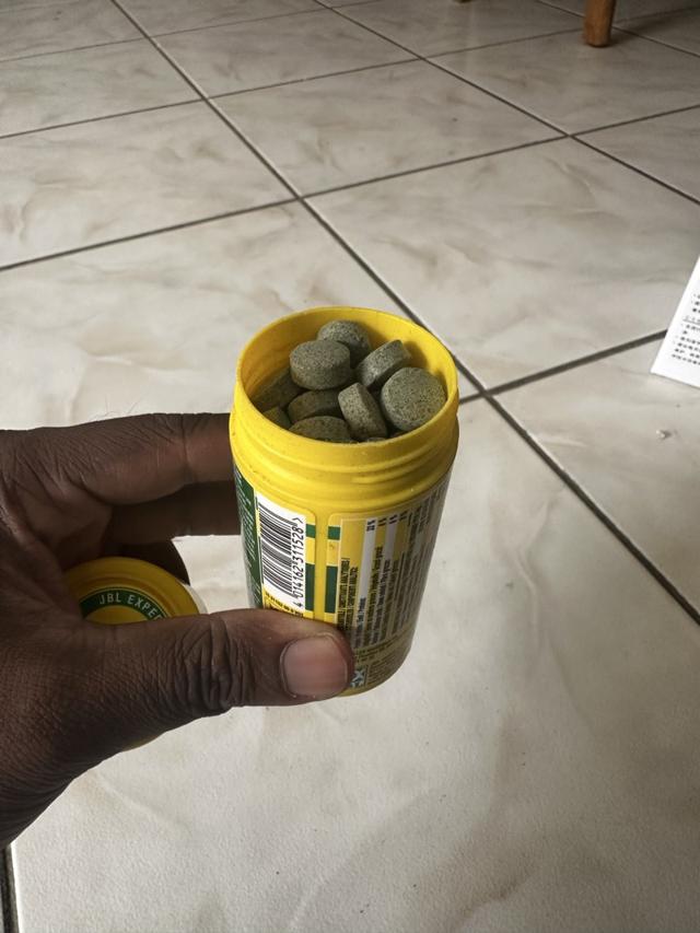 Nourriture botia novo