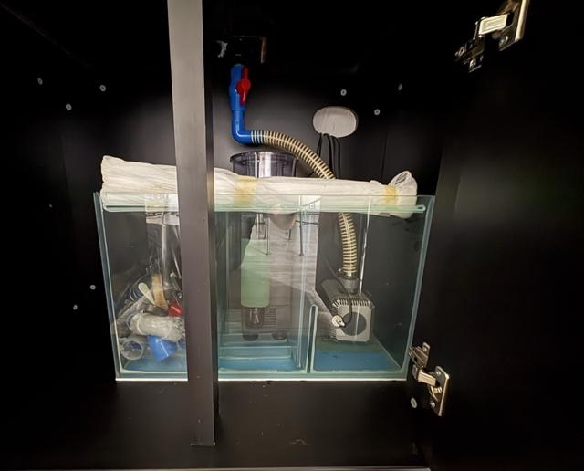 aquarium et meuble equipé eau de mer