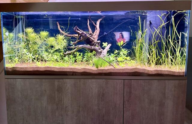 Rampe led 150cm