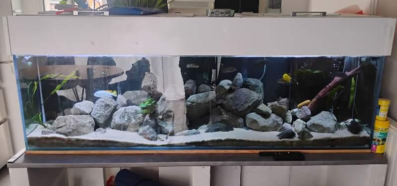 Aquarium 600 litres