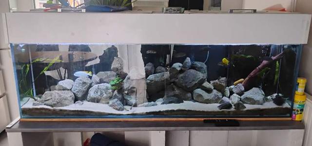 Aquarium 600 litres à Arras