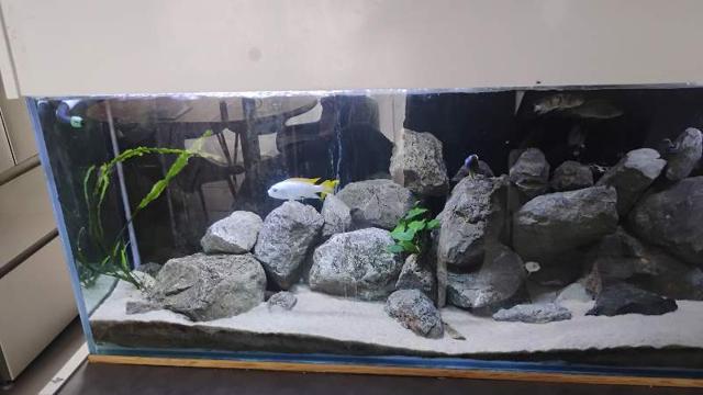 Aquarium 600 litres