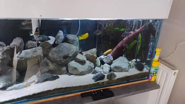 Aquarium 600 litres