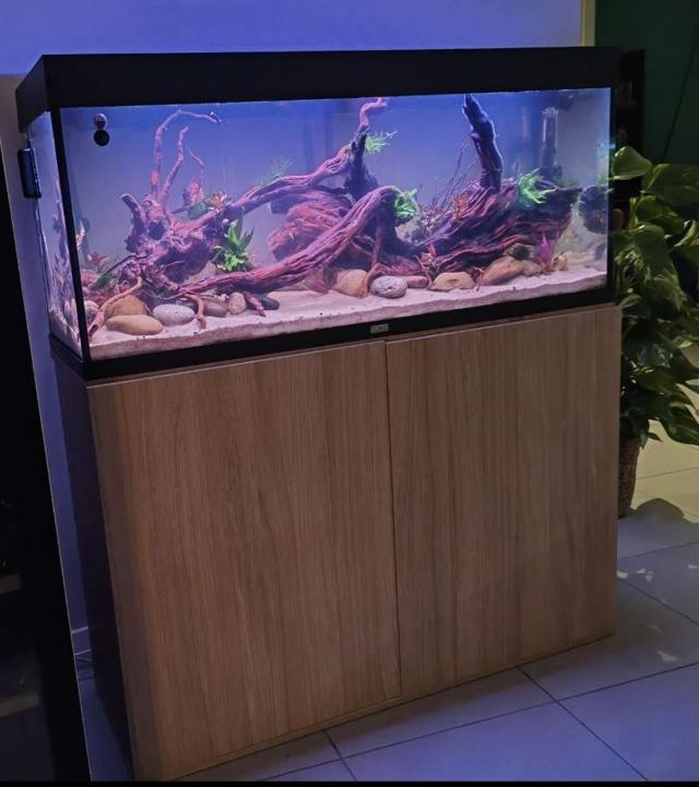 Aquarium et meuble