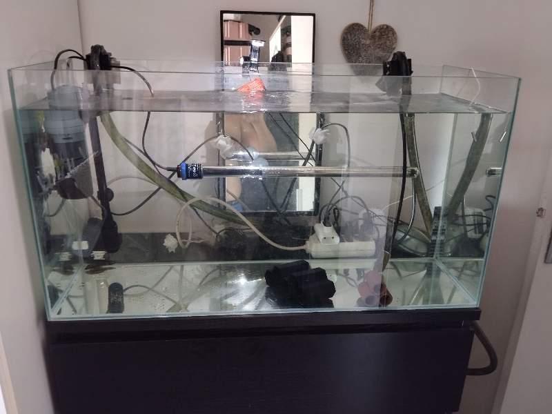 Aquarium 100l