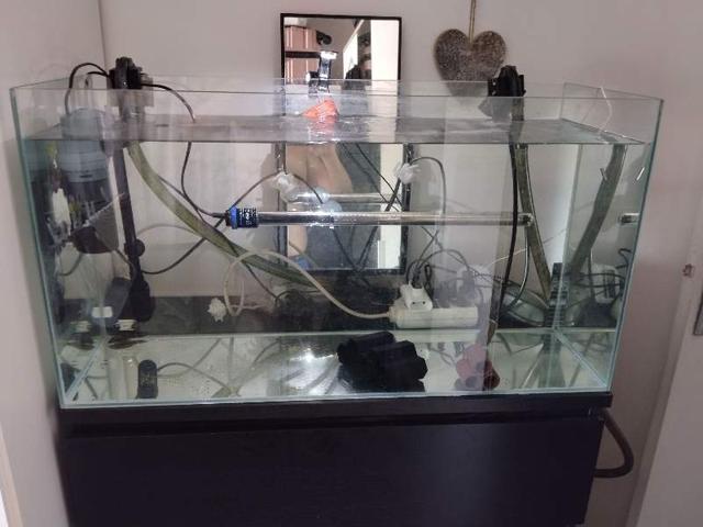 Aquarium 100l