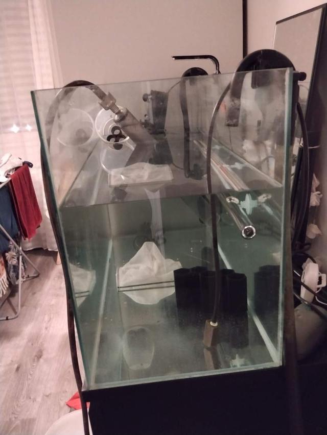 Aquarium 100l