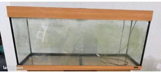 Aquarium 250 l