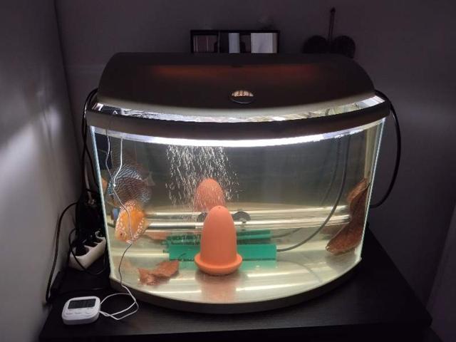 Aquarium 55 l
