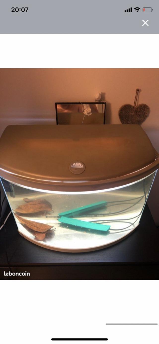 Aquarium 55 l
