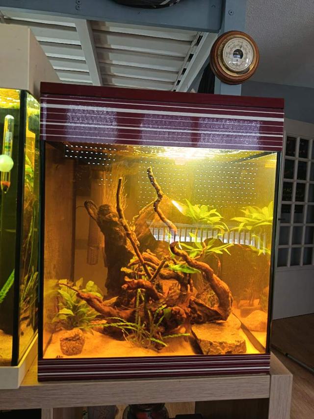 Aquarium cube 50L