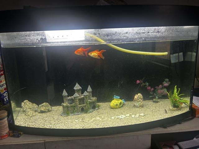 Aquarium