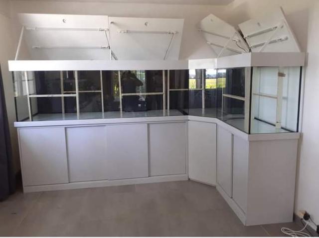 Conception aquarium sur mesure
