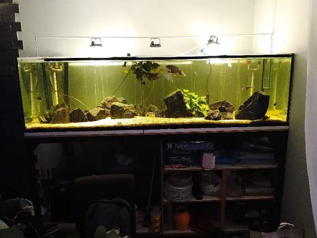 Aquarium de 900L et son châssis
