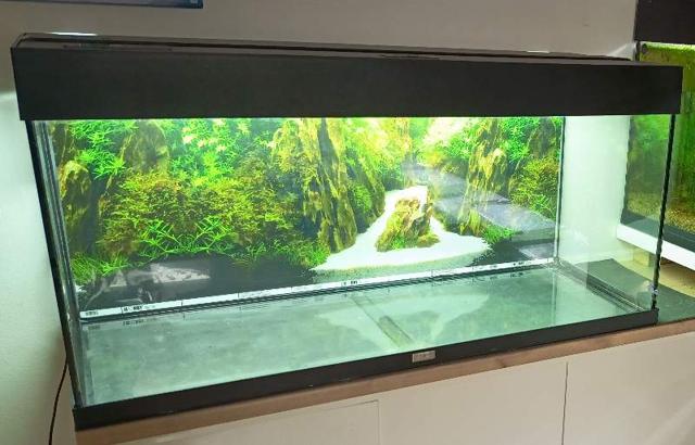 Aquarium