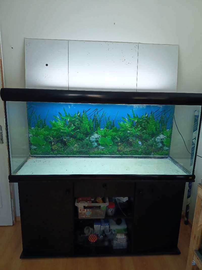 Aquarium Rena 550l
