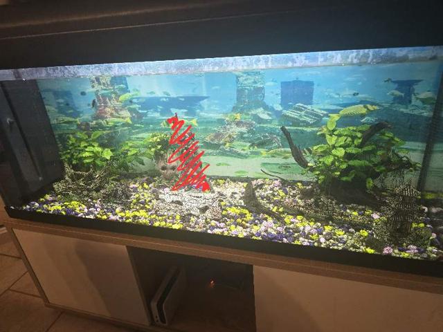 Aquarium 300L