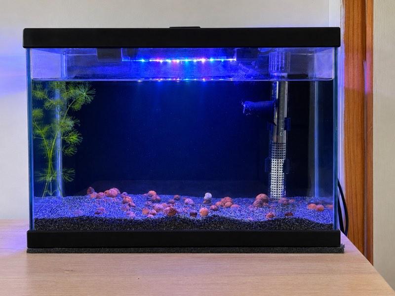 Aquarium