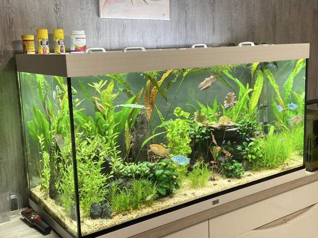 Aquarium Aquatlantis Volga 350 blanc