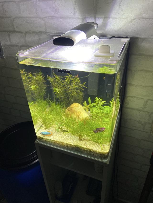 Aquarium 30 litres Aquael
