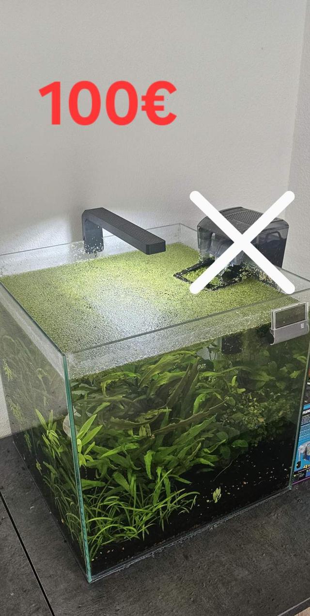 Aquarium complet 60L