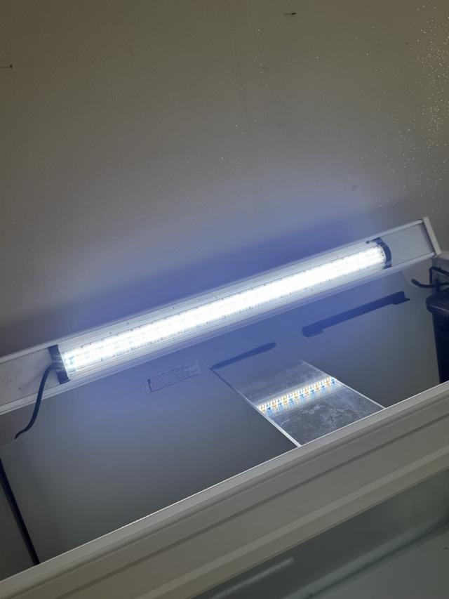 Aquarium Aquatlantis 150 L