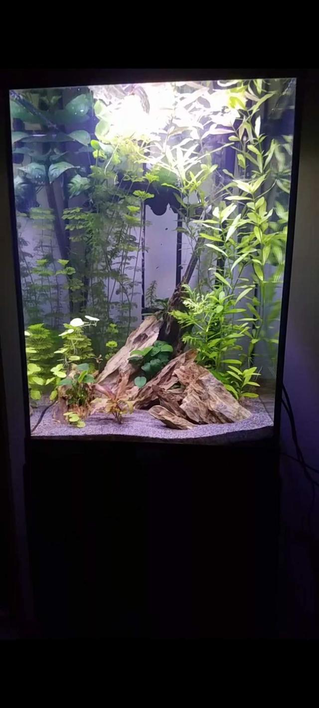 Aquariums