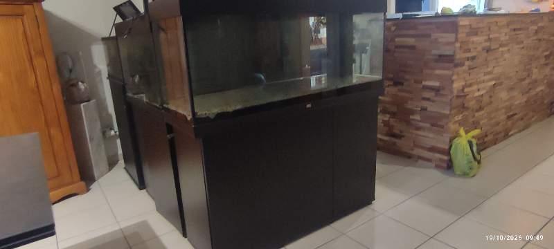 Vends Aquarium 250l