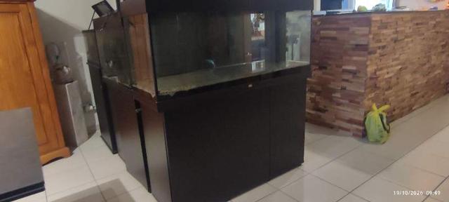 Vends Aquarium 250l à Nîmes