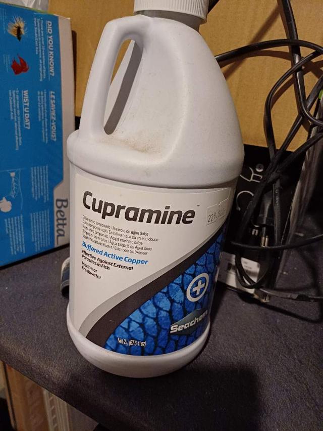 Eau de mer à Mauléon