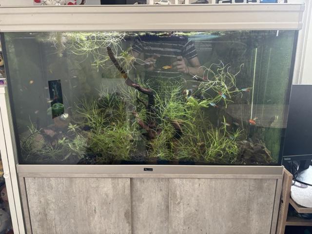 Aquarium Complet 220L