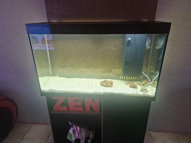 Aquarium complet