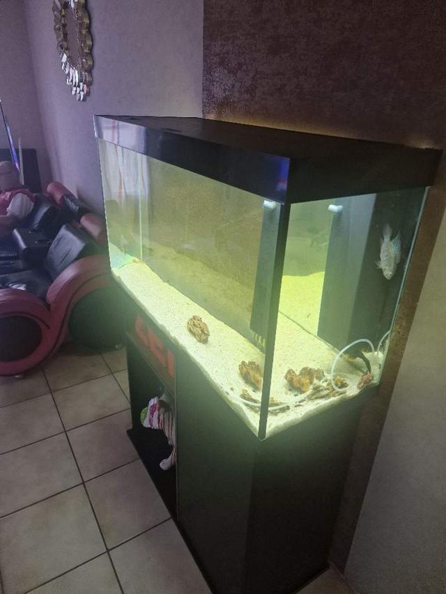 Aquarium complet